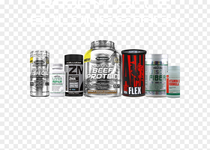 Muscle Hypertrophy Skeletal Branched-chain Amino Acid MuscleTech PNG