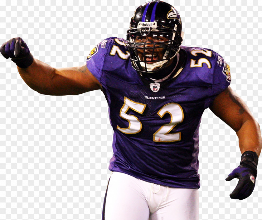 Raven Baltimore Ravens American Football 2011 NFL Season Linebacker Sport PNG