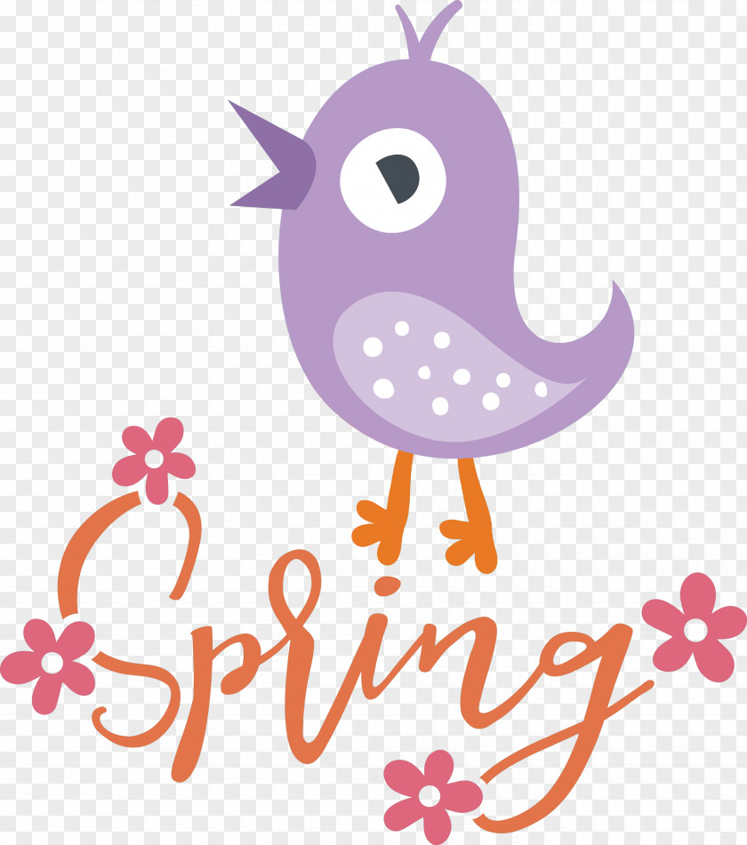 Spring Bird PNG