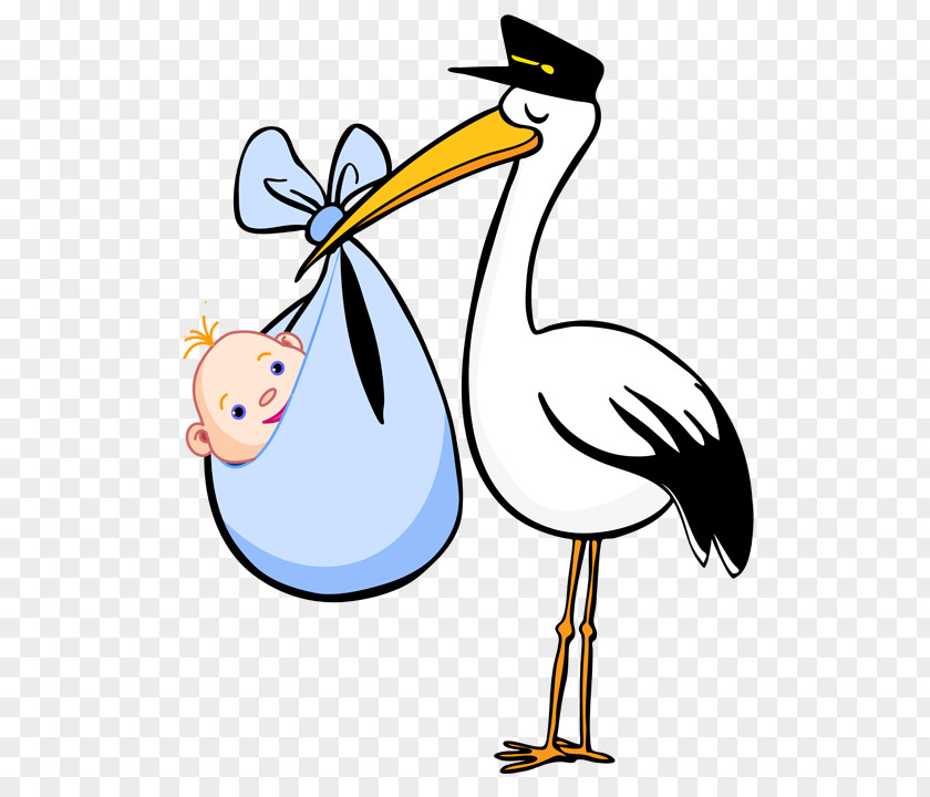 Stork Baby White Cartoon Bird Clip Art PNG