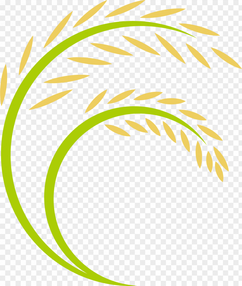 Cartoon Rice Ears Logo PNG