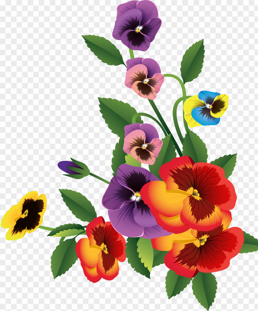 Crocus Flower Desktop Wallpaper Floral Design PNG