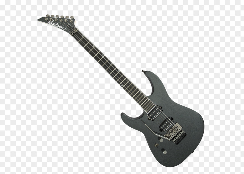 Guitar Pro Schecter Research Demon-6 C-1 Hellraiser FR Electric PNG