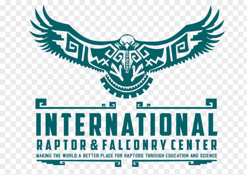 Logo Bald Eagle Design Falconry PNG