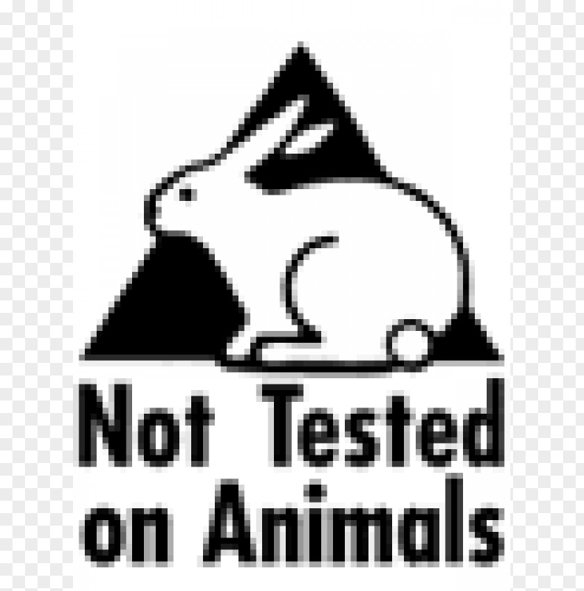 Not Tested On Animals Draw Aussie Animals: New Edition Daniel The Devil Drawing Illustrator Book PNG