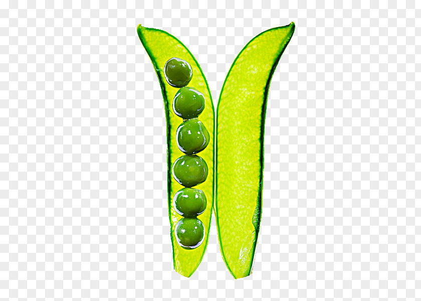 Pea Pod Closeup Stock Photography Silique PNG