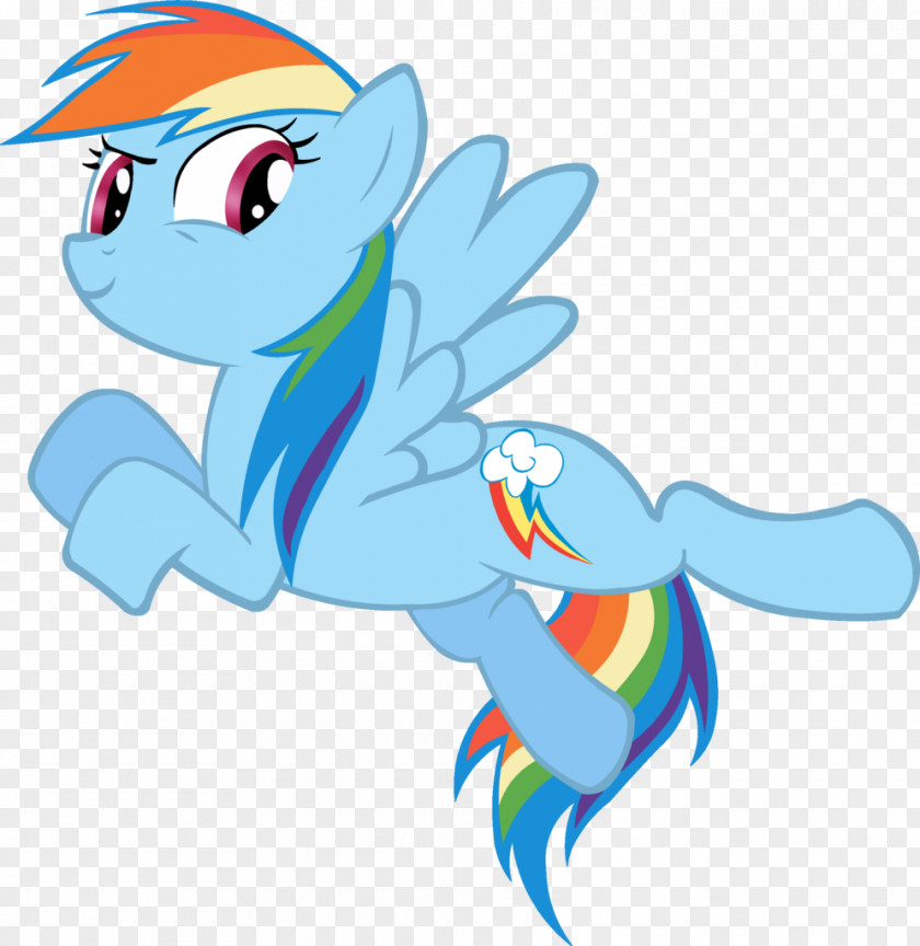 Pegasus Rainbow Dash Pony Horse Animation Sonic Rainboom PNG