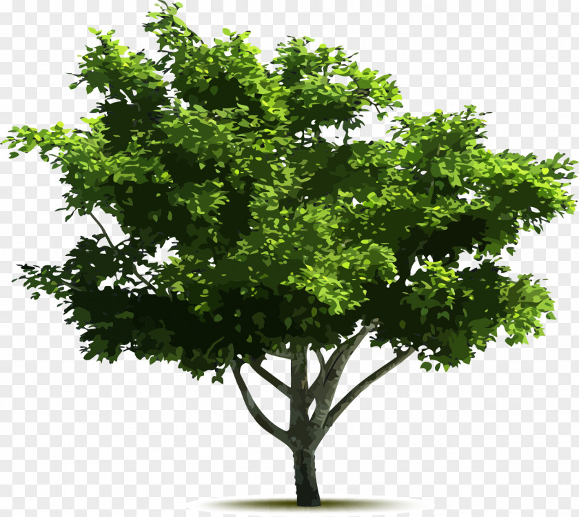 Vector Hand-painted Trees Tree Euclidean Adobe Illustrator PNG