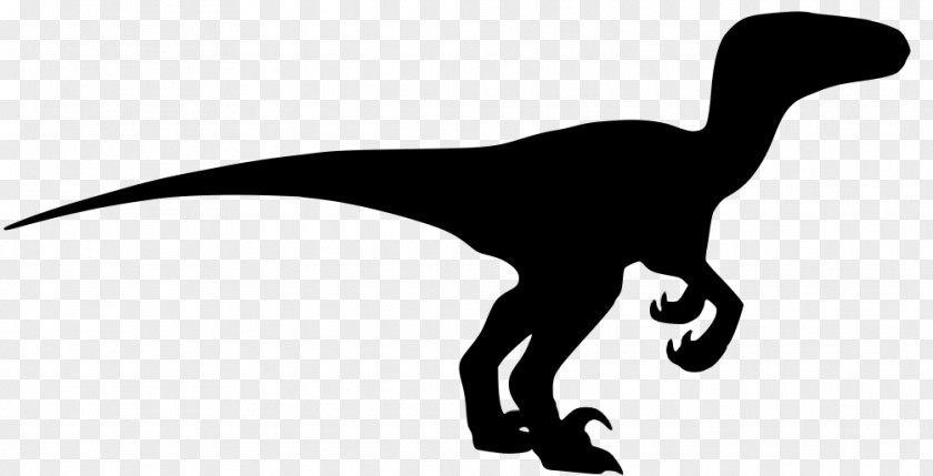 Velociraptor Image Silhouette Dinosaur Clip Art PNG