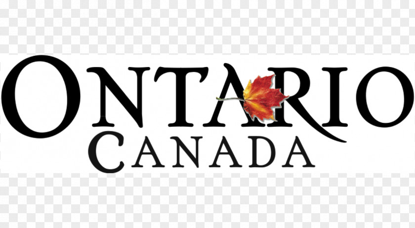 Business Logo Kawartha Trans Canada Trail Association Corporation Startup Company PNG