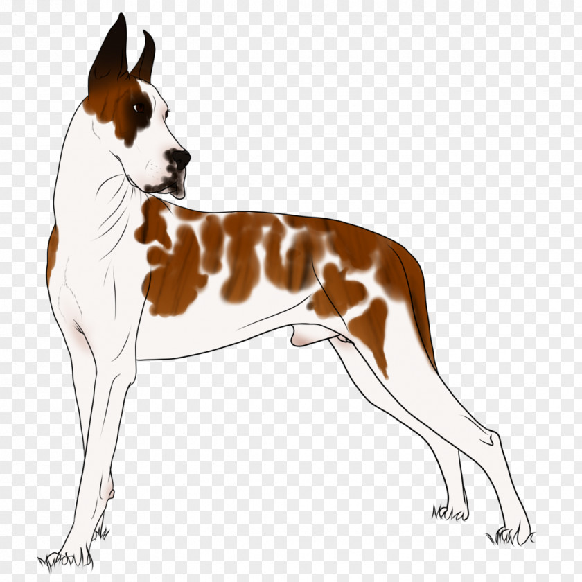 Horse Lords Dog Breed English Foxhound Ibizan Hound Companion PNG