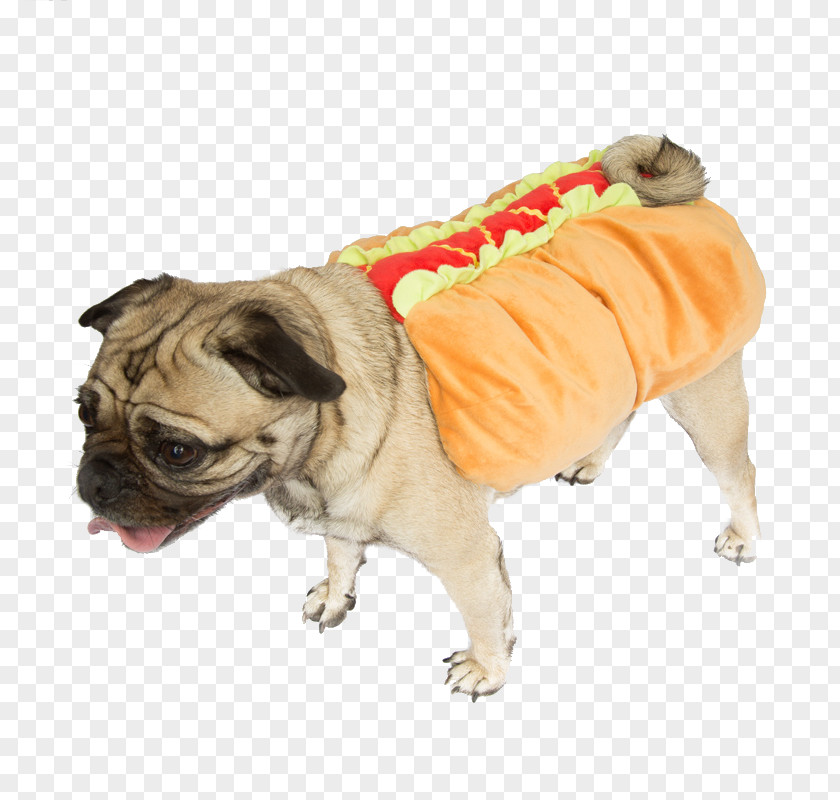 Puppy Pug Dachshund Hot Dog Breed PNG