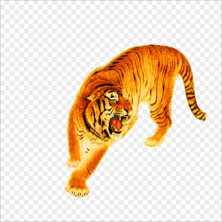 Tiger Lion Cat Leopard PNG