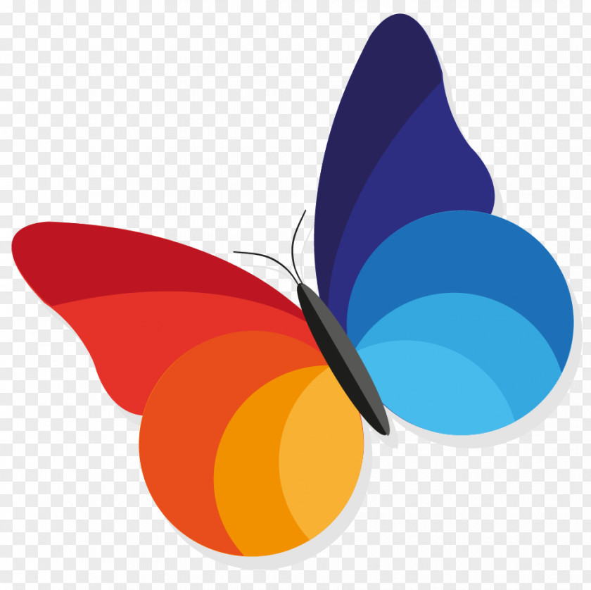 Webito Graphic Logo Papillon Web Internet Design PNG