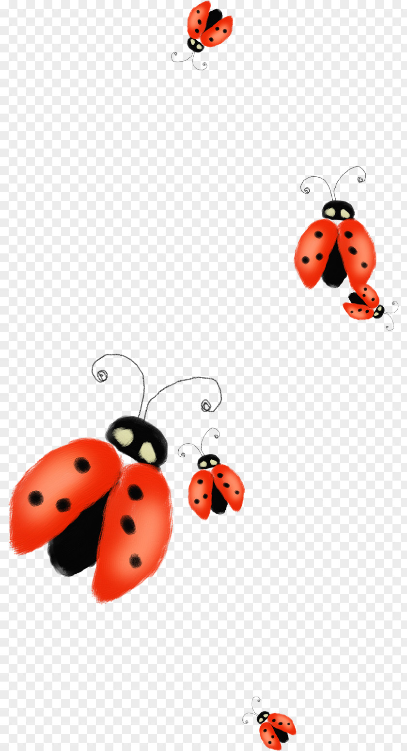 Beautiful Orange Ladybug Ladybird Clip Art PNG