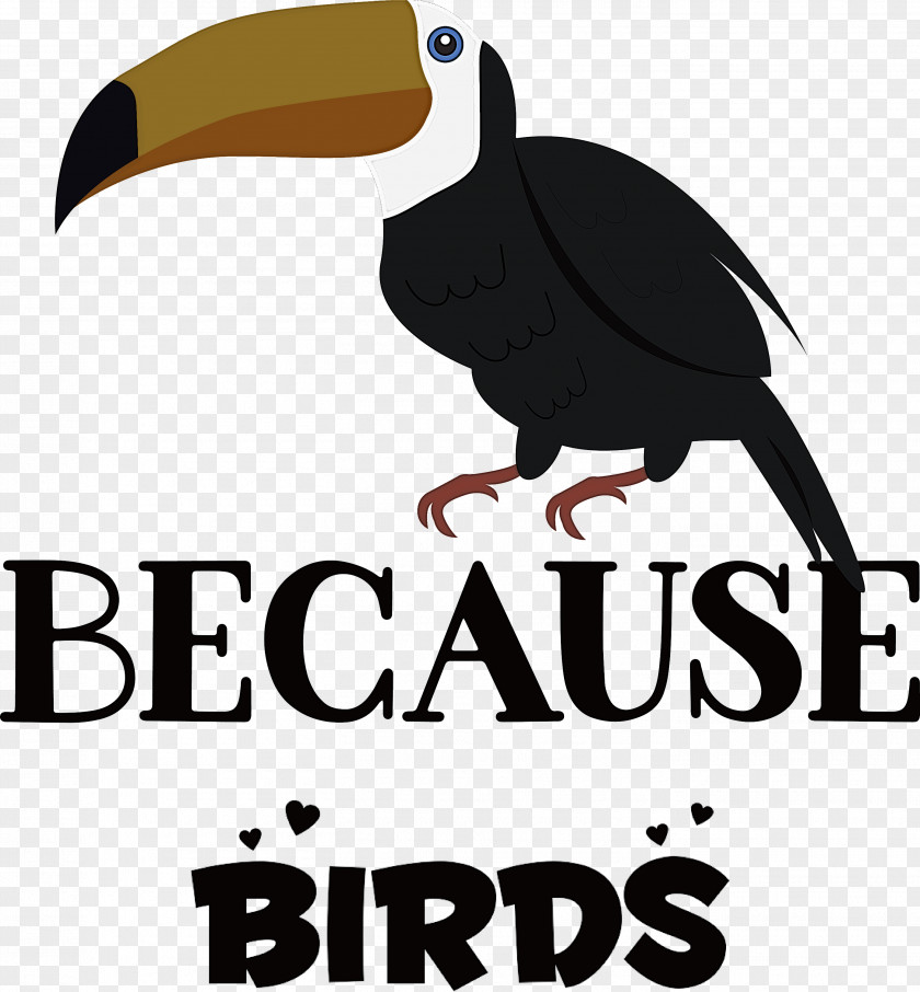 Because Birds Bird Animal PNG