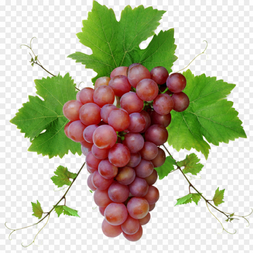 Bunch Of Grapes Grapevines Desktop Wallpaper High-definition Television Display Resolution PNG