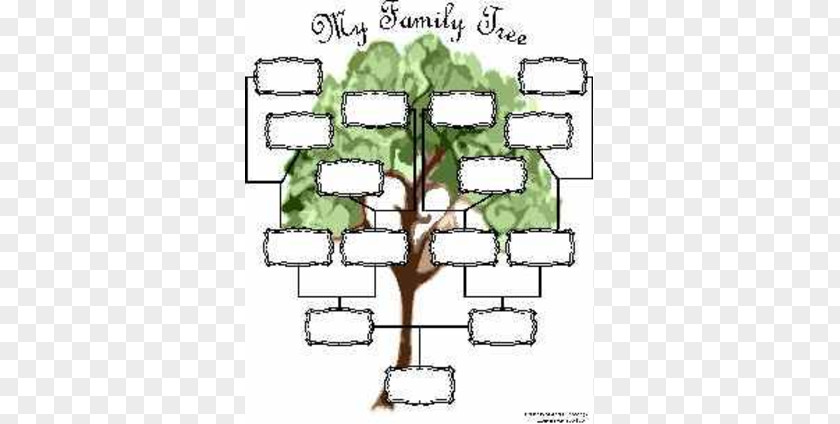 Family Genealogy Tree Template Diagram Chart PNG