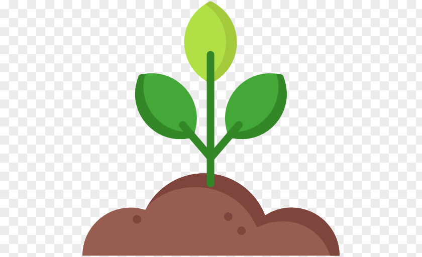 Plant Pattern PNG