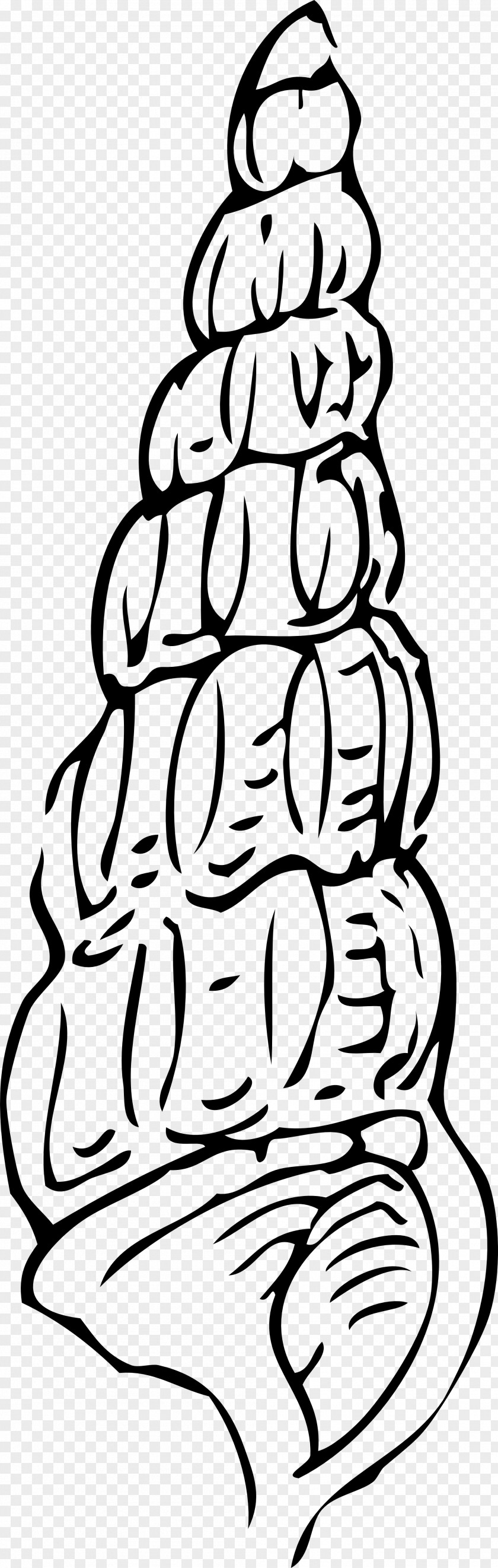 Shell Seashell Gastropod Drawing Clip Art PNG