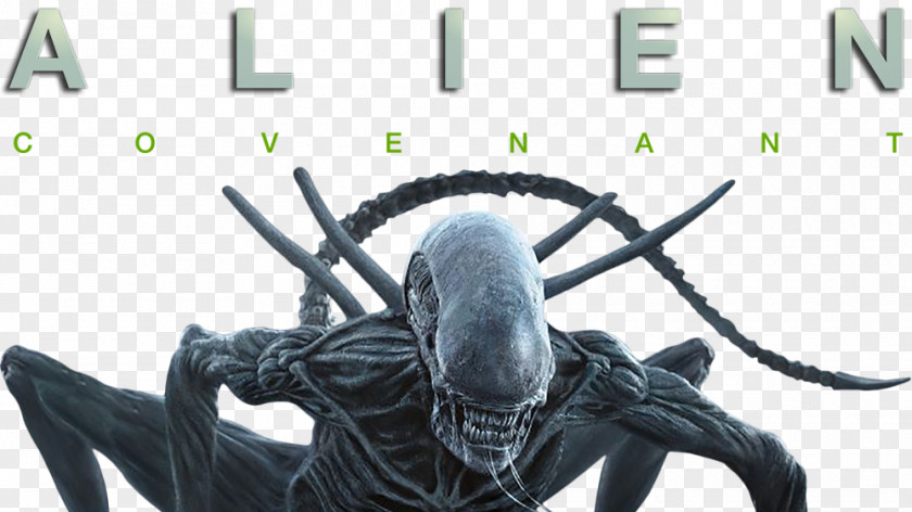 Alien Covenant Ultra HD Blu-ray Disc Digital Copy 4K Resolution Ultra-high-definition Television PNG