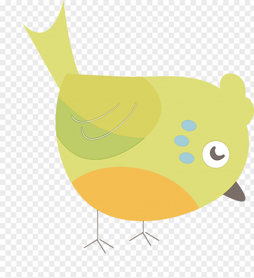 Beak Chicken Birds Water Bird Yellow PNG