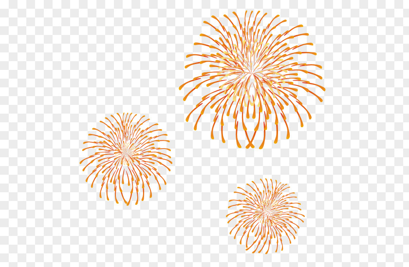 Fireworks Cartoon PNG