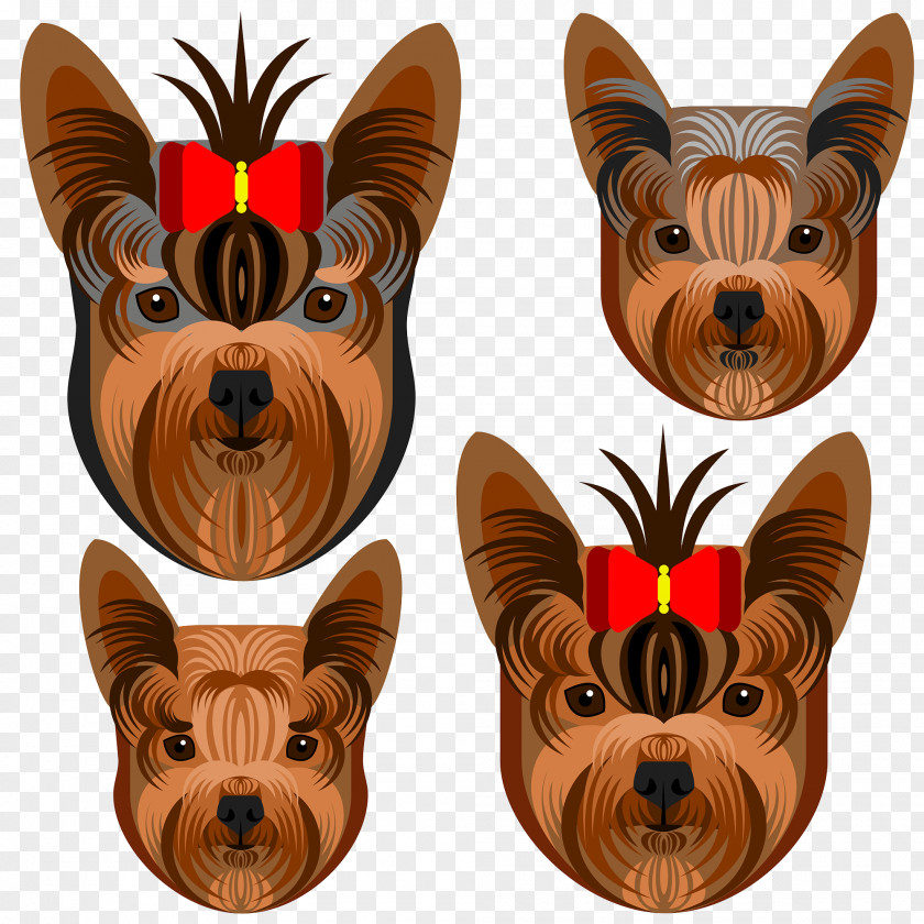 Larry Snow Dogs Yorkshire Terrier Australian Purebred Dog PNG