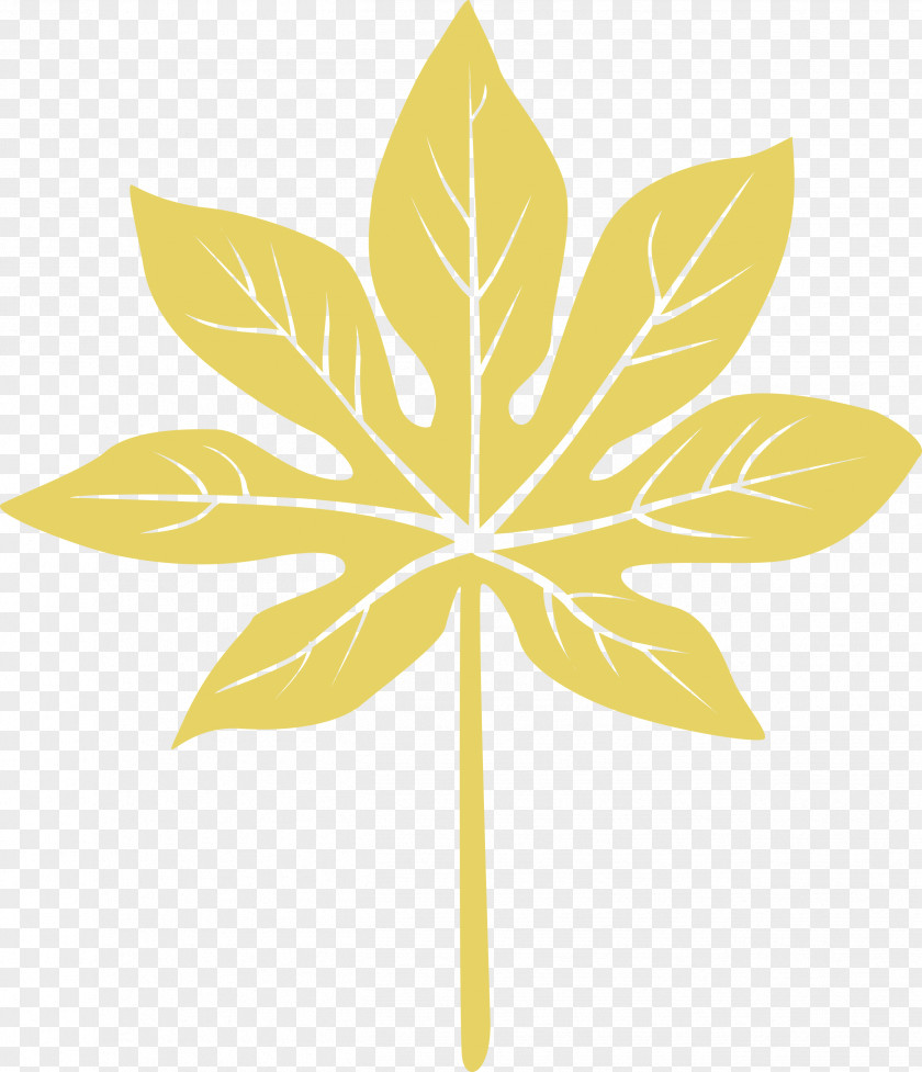 Leaf PNG