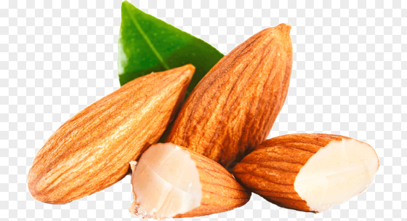 Almond Nut Stock Photography Clip Art Seed Oil PNG