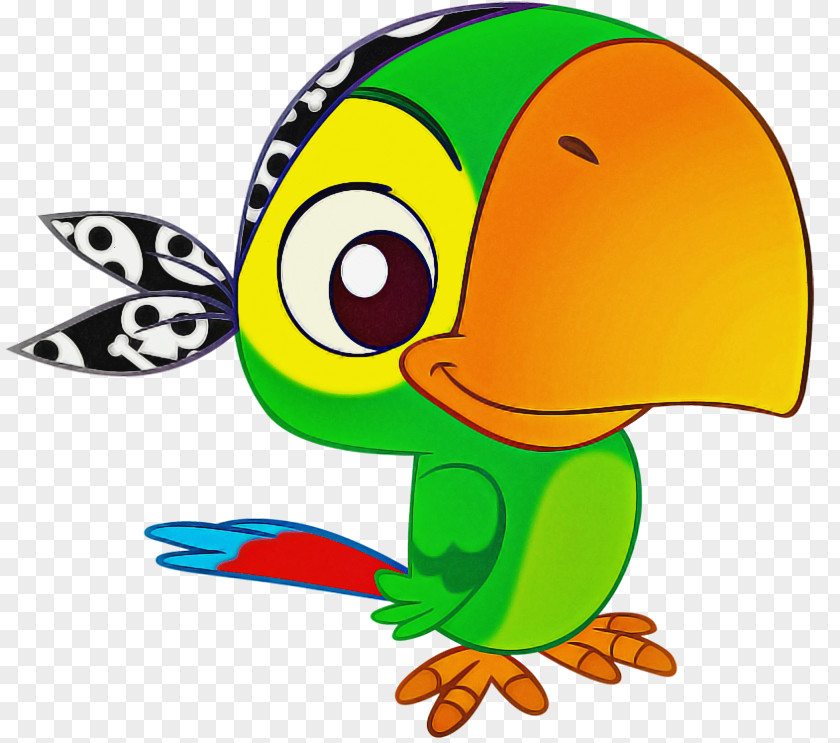 Cartoon Bird Animal Figure Beak Piciformes PNG
