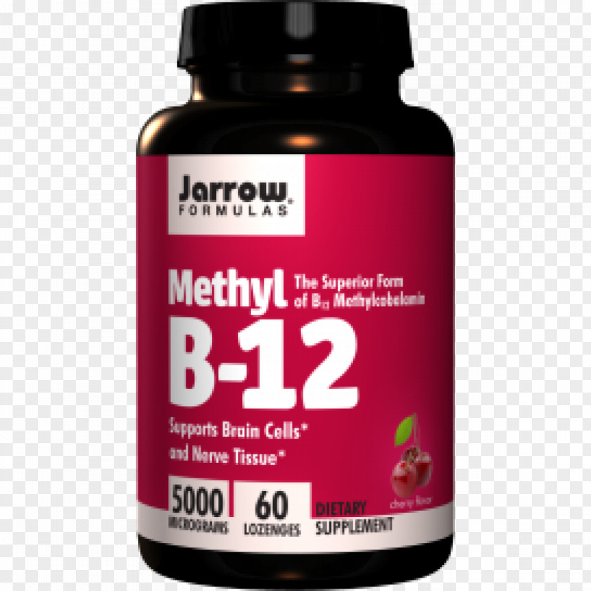 Dietary Supplement Vitamin B-12 Methylcobalamin Pyridoxine Folate PNG