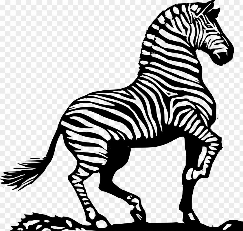 Orangutan Horse Zebra Drawing Clip Art PNG