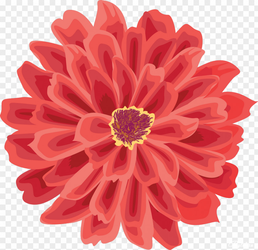 Pretty Flowers Drawing Clip Art PNG