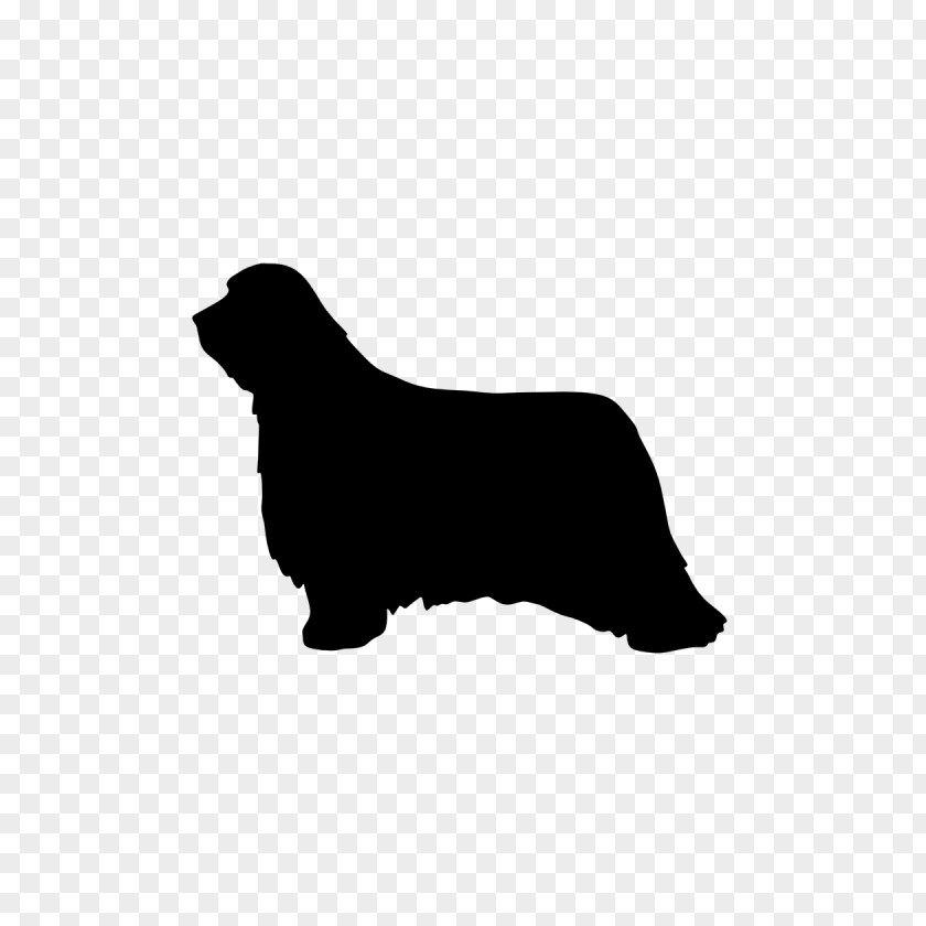 Bearded Collie Miniature Dachshund Chihuahua Puppy Clip Art PNG