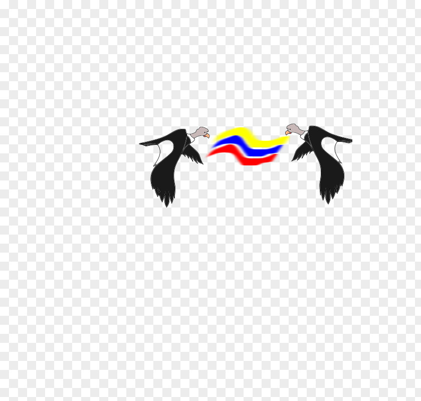 Colombian Clip Art Vector Graphics Condor Illustration PNG