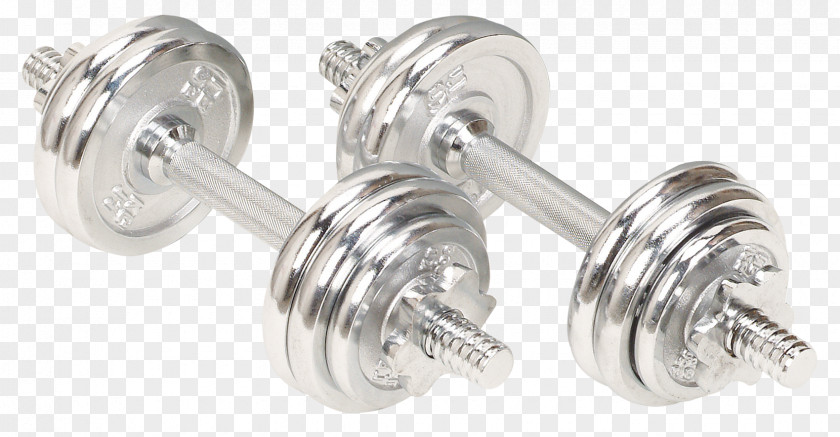 Dumbbells Dumbbell Physical Exercise PNG