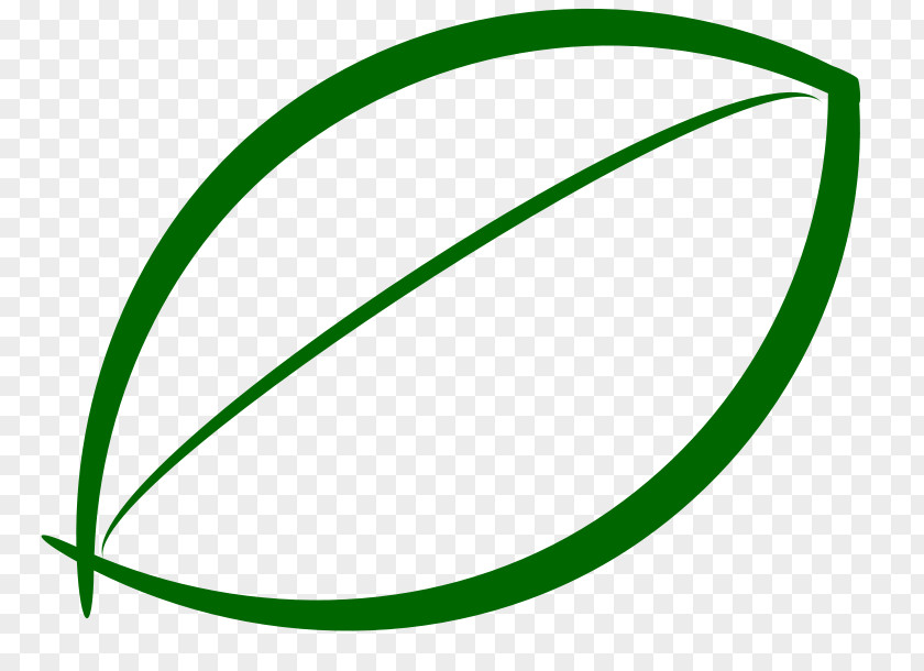 Green Leaf Vector Clip Art PNG