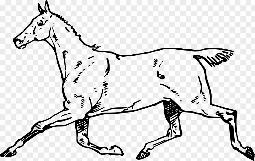 Horse Dog Clip Art PNG