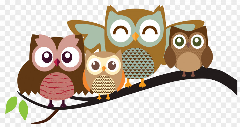 Owl Cartoon Bird Animation PNG