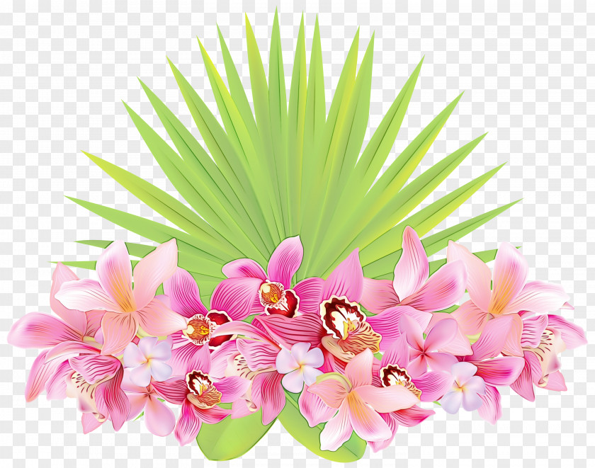 Perennial Plant Blossom Pink Flowers Background PNG