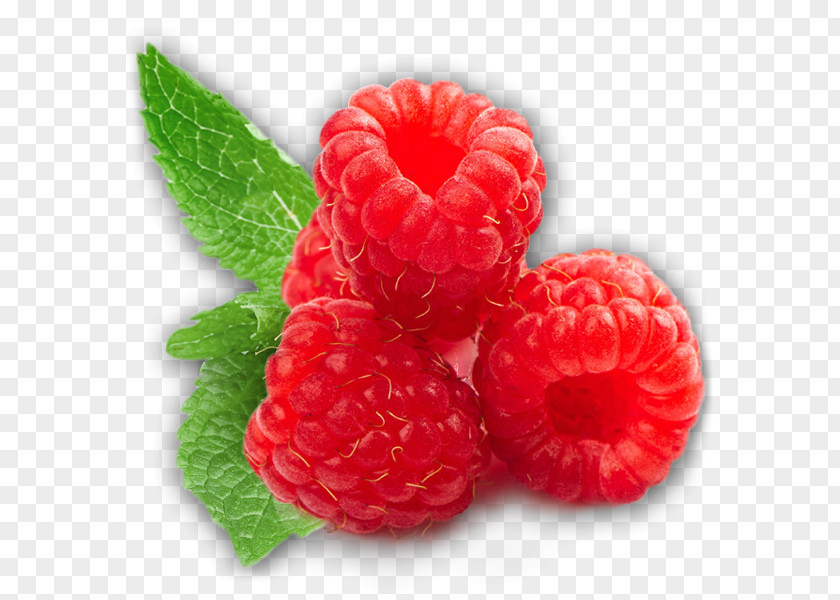 Raspberry Black Fruit Clip Art PNG
