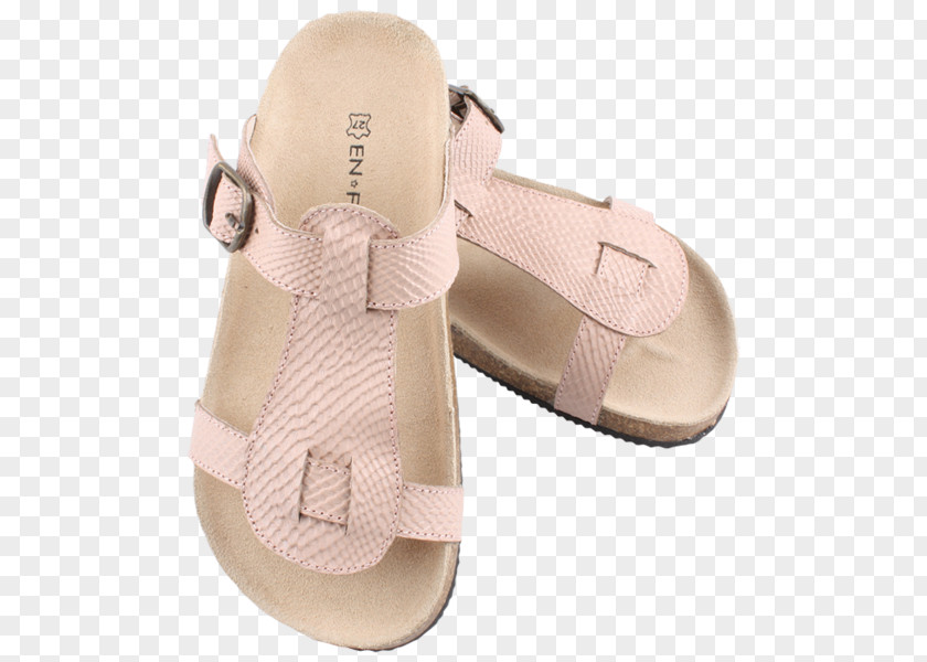 Sandal Slipper Flip-flops Shoe Blue PNG