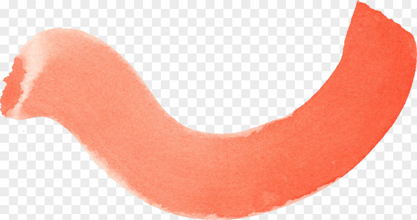 Stroke Paintbrush Orange PNG