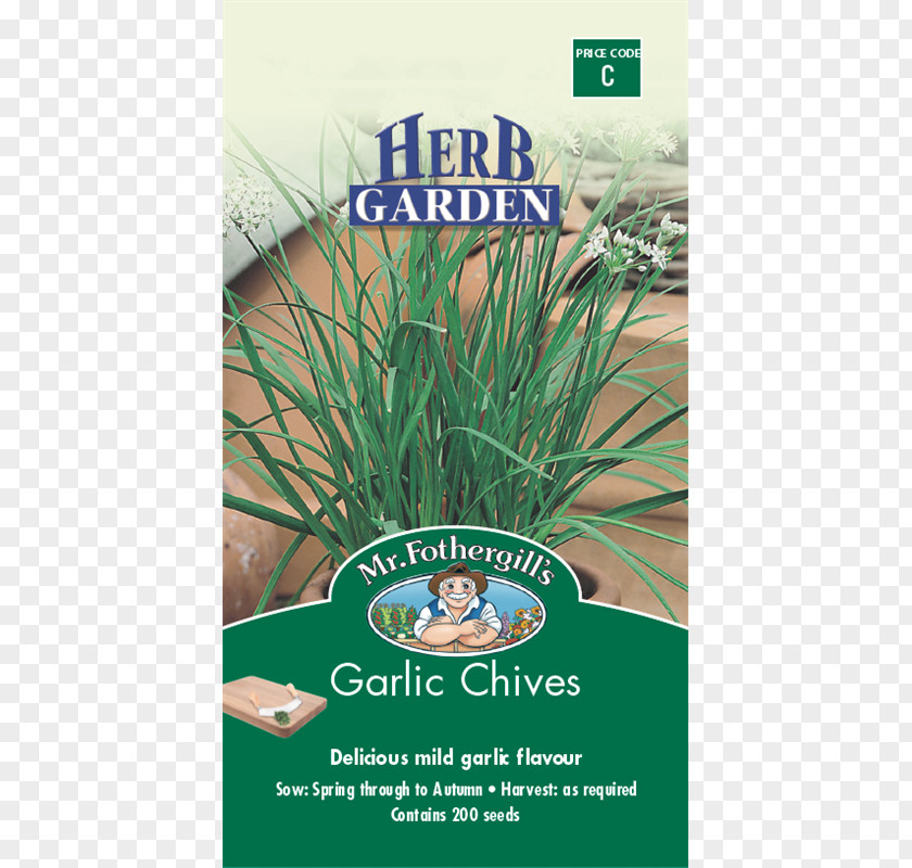 Garlic Chives Herb Vegetable PNG