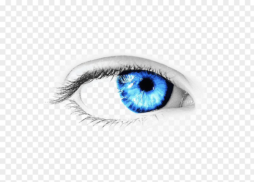 Hand-painted Eyes Eye Clip Art PNG