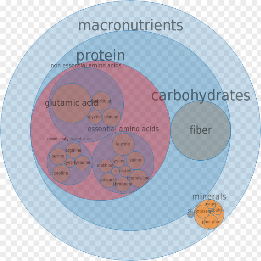 Milk Nutrient Vitamin Food Protein PNG