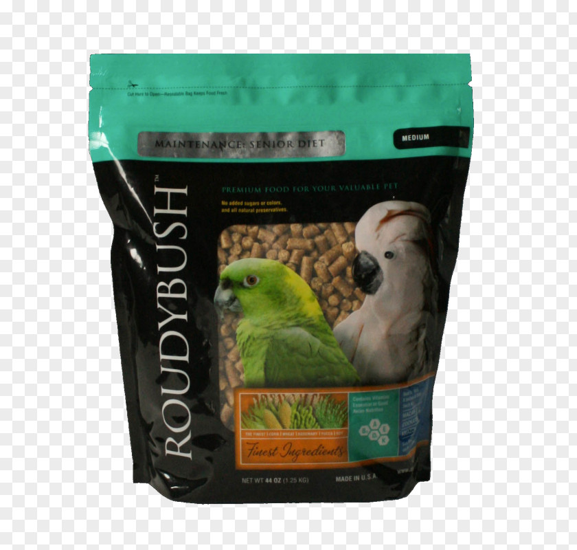 Parrot Bird Food Dieting PNG