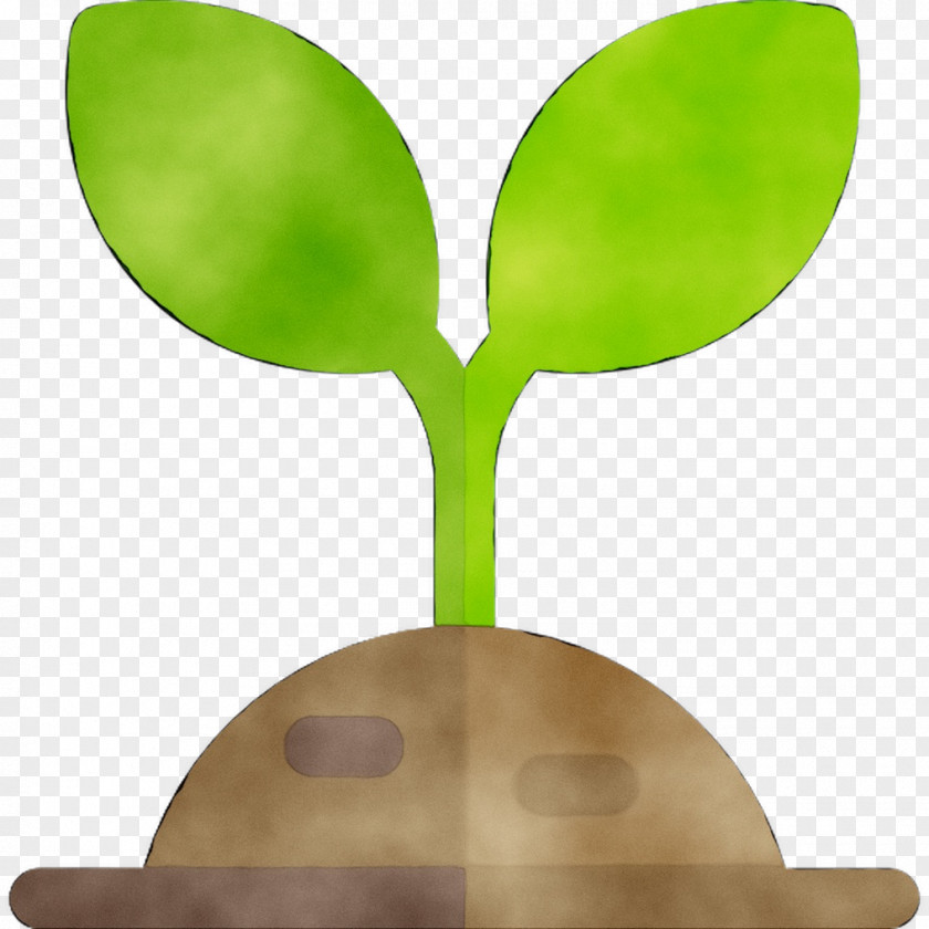 Product Design Leaf PNG