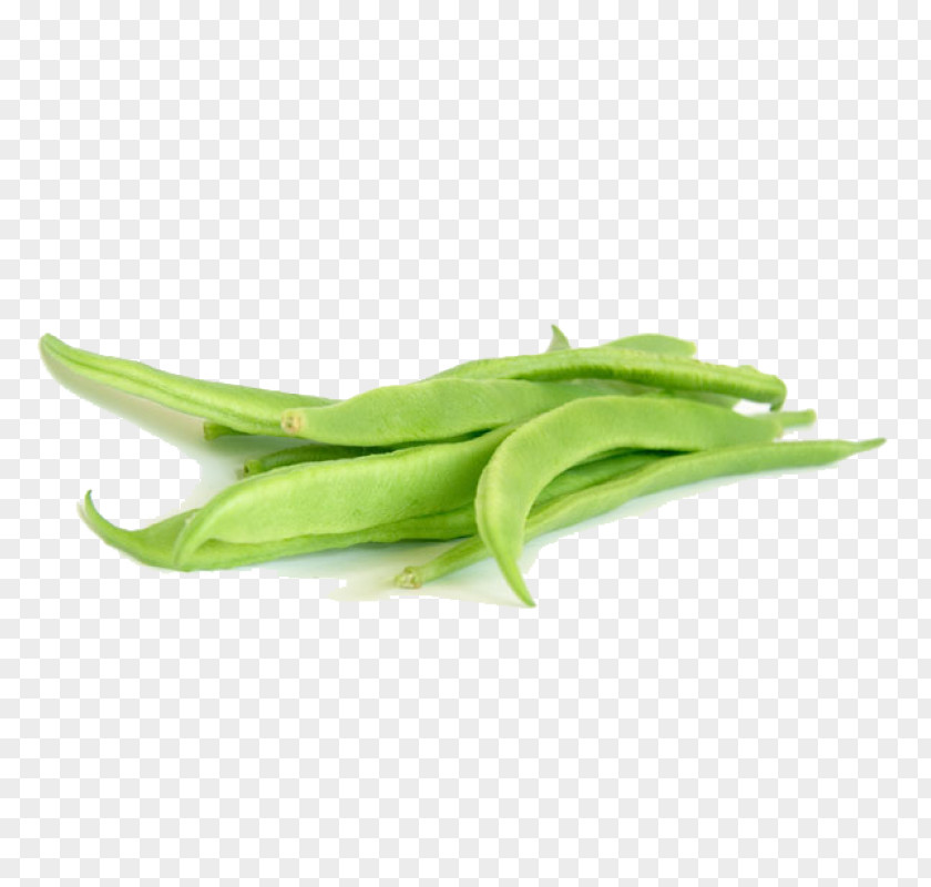 Vegetable Green Bean Flat PNG